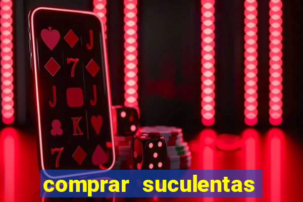 comprar suculentas direto do produtor